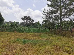 2acres of Land for Sale at Zirobwe