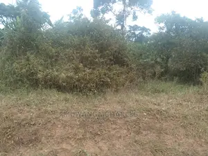 20acres of Land for Sale at Nakasongola