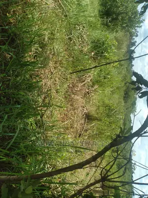 20acres of Land for Sale at Nakasongola