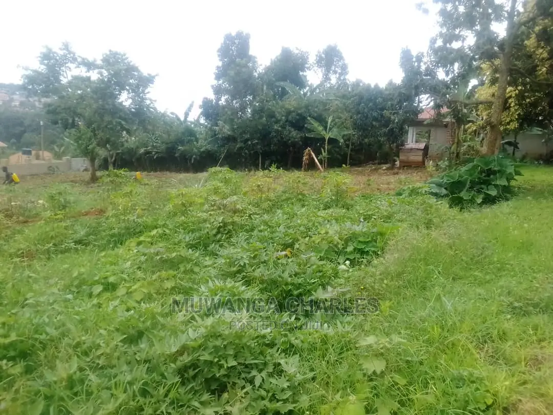5acres Of Land For Sale At Wabutungulu Zirobwe