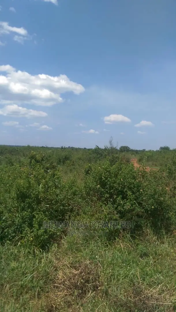 5acres Of Land For Sale At Wabutungulu Zirobwe