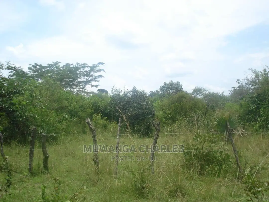 5acres Of Land For Sale At Wabutungulu Zirobwe