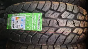 285/60r18 With Grips