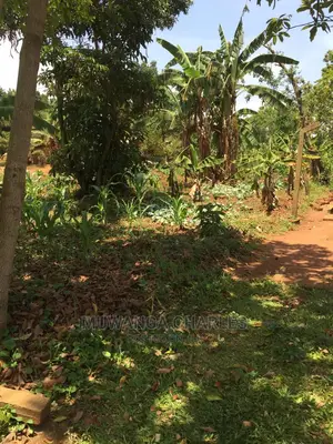4acres of Land for Sale at Zirobwe Wabutungulu