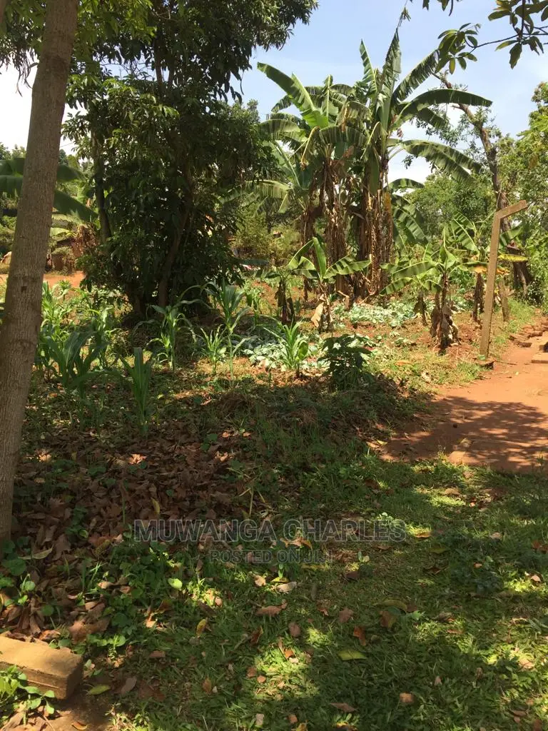 4acres of Land for Sale at Zirobwe Wabutungulu
