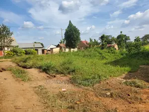25decimals for Sale at Kungu