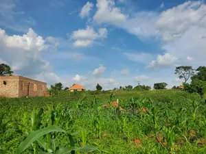 25decimals for Sale at Kungu
