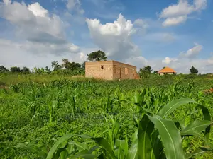 25decimals Plot of Land for Sale at Buwate