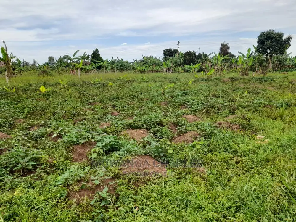 100by50ft Plot of Land for Sale and Kira
