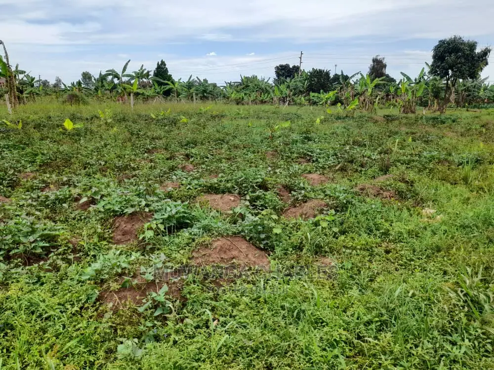 100by50ft Plot of Land for Sale and Kira