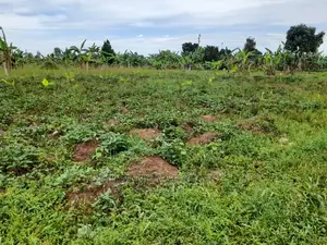 100by50ft Plot of Land for Sale and Kira