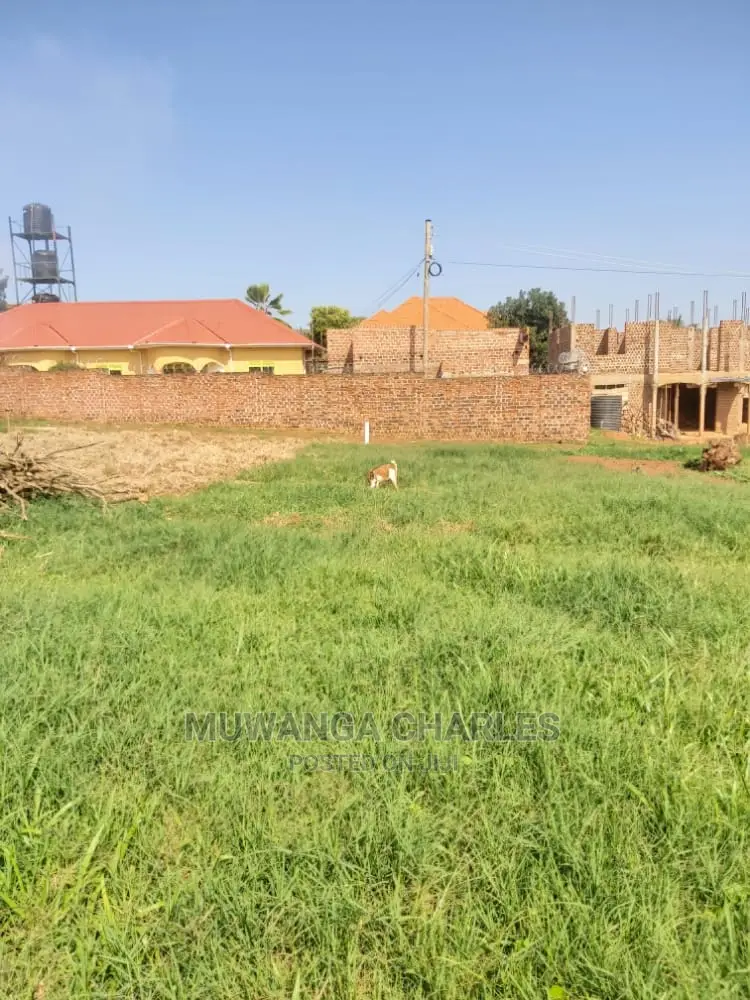 100by50ft Plot of Land for Sale and Kira