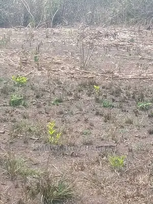 Plot's for Sale at Busika Gayaza Road