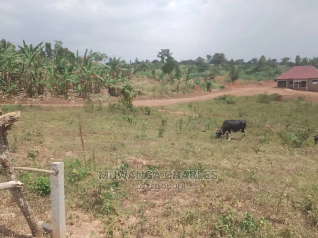 Plot's for Sale at Busika Gayaza Road