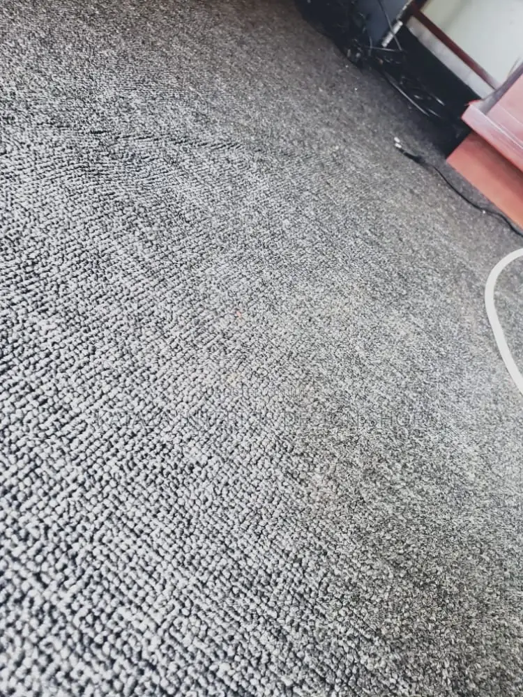 Woolen Carpets/Woolen Carpets/Carpets
