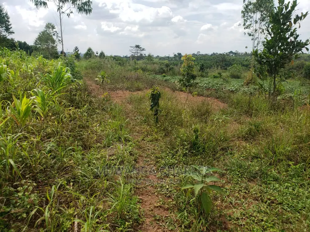 10acres of Land for Sale at Kikyusa