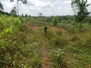 10acres of Land for Sale at Kikyusa