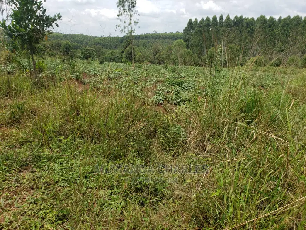 10acres of Land for Sale at Kikyusa