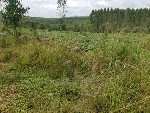 10acres of Land for Sale at Kikyusa