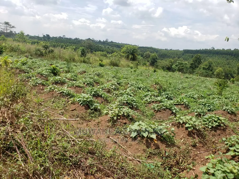 10acres of Land for Sale at Kikyusa