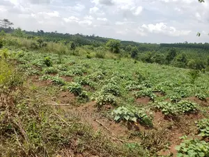 10acres of Land for Sale at Kikyusa