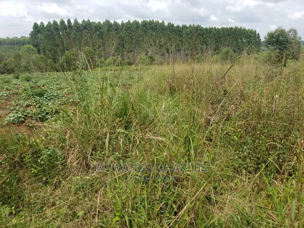 10acres of Land for Sale at Kikyusa