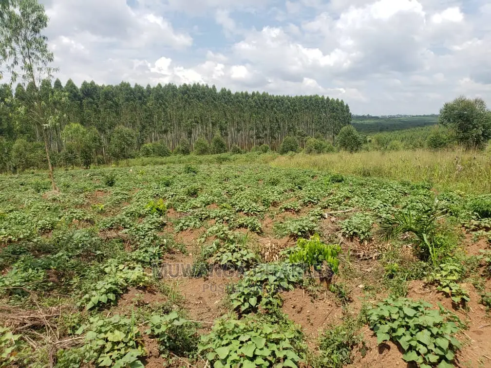 10acres of Land for Sale at Kikyusa