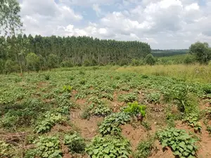 10acres of Land for Sale at Kikyusa