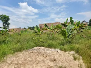 50by50ft Plot for Sale at Kiwenda