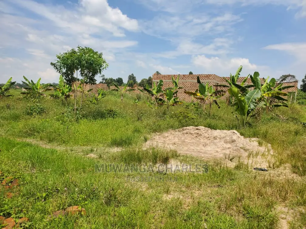 50by50ft Plot for Sale at Kiwenda