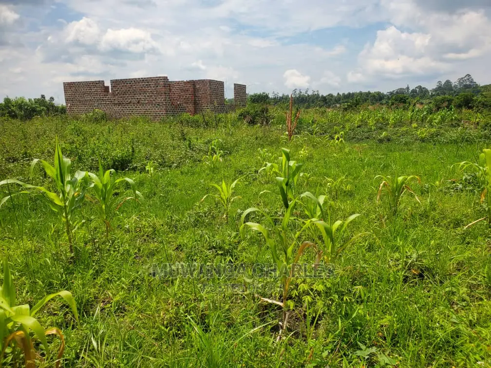 Plots for Sale at Busika