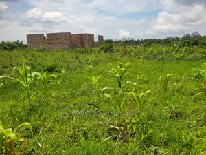 Plots for Sale at Busika