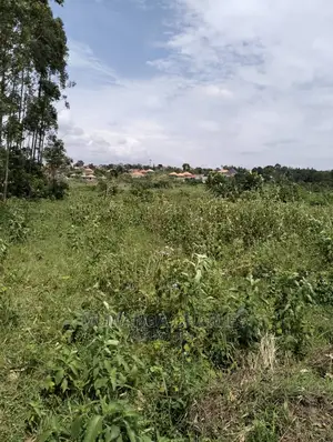 Plots for Sale at Busika