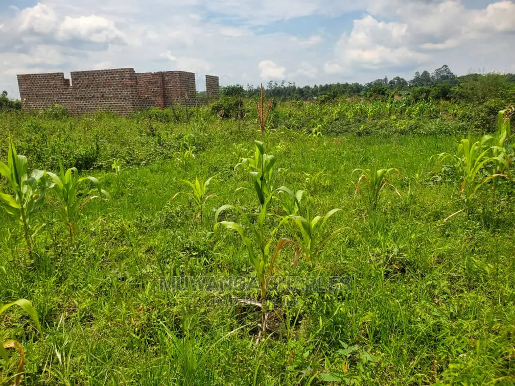 Plots for Sale at Busika