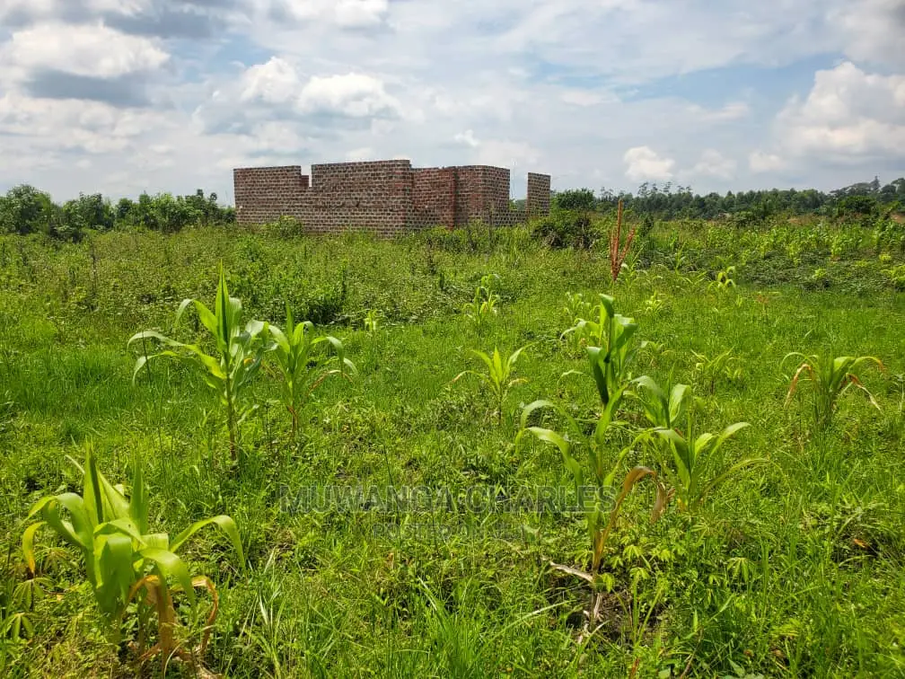 Plots for Sale at Busika