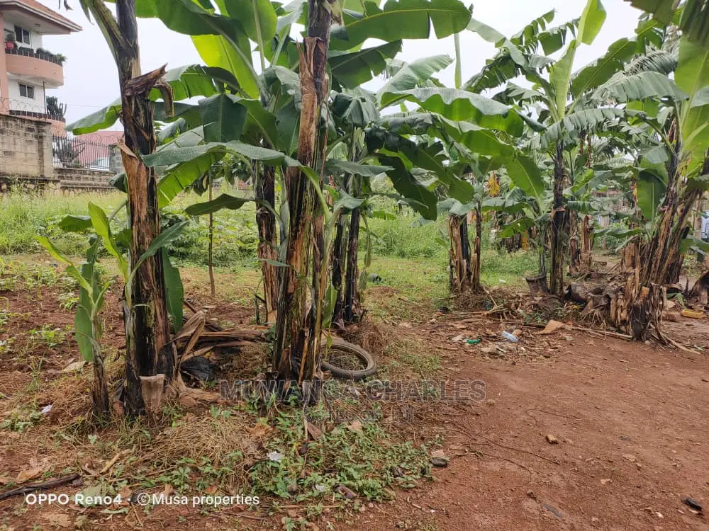 12decimals for Sale at Kungu