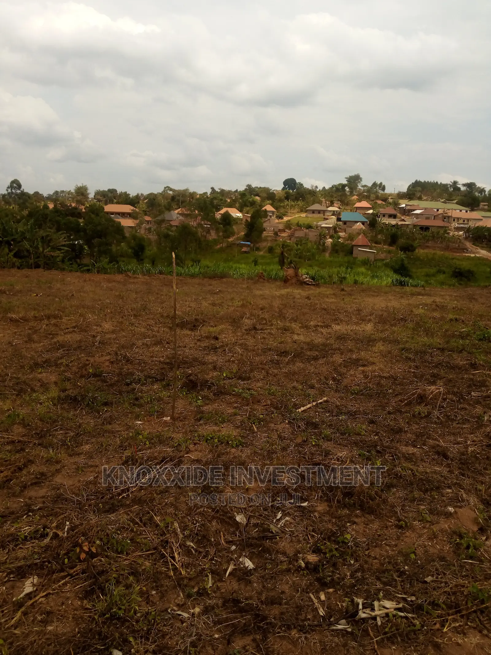 Plot for Sale 100x50ft at 16m Ugx Ready Tittle Sentema
