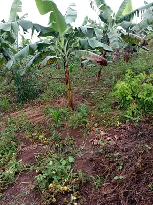 5acres of Land for Sale in Kikyusa