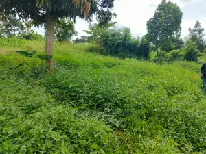 Land for Sale at Zirobwe