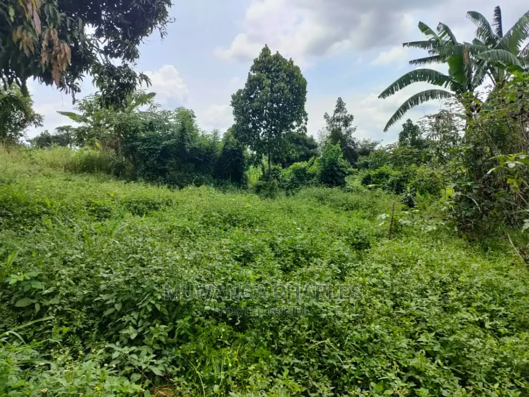 Land for Sale at Zirobwe