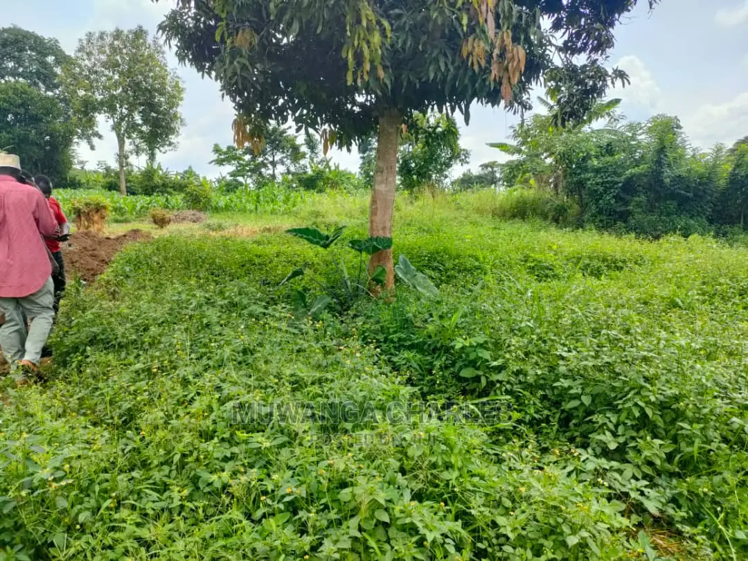 Land for Sale at Zirobwe