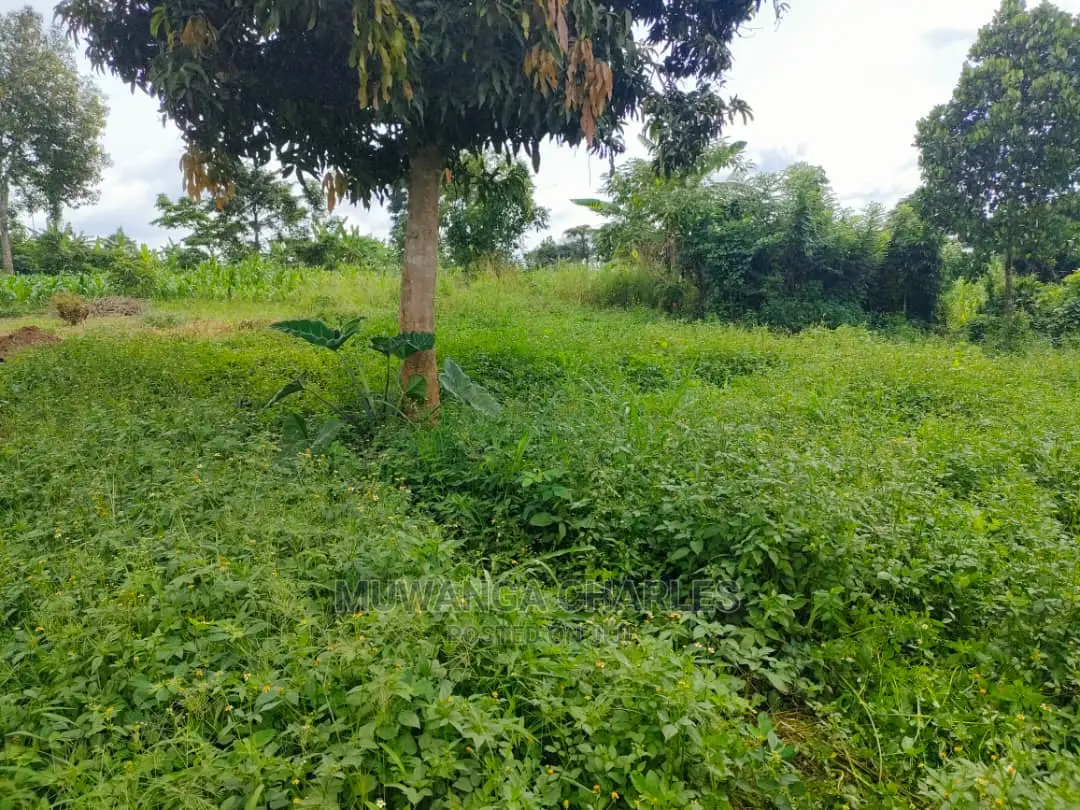 Land for Sale at Zirobwe