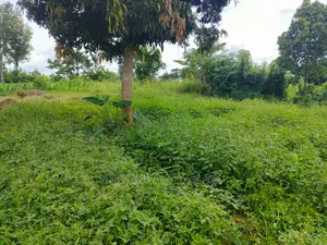 Land for Sale at Zirobwe
