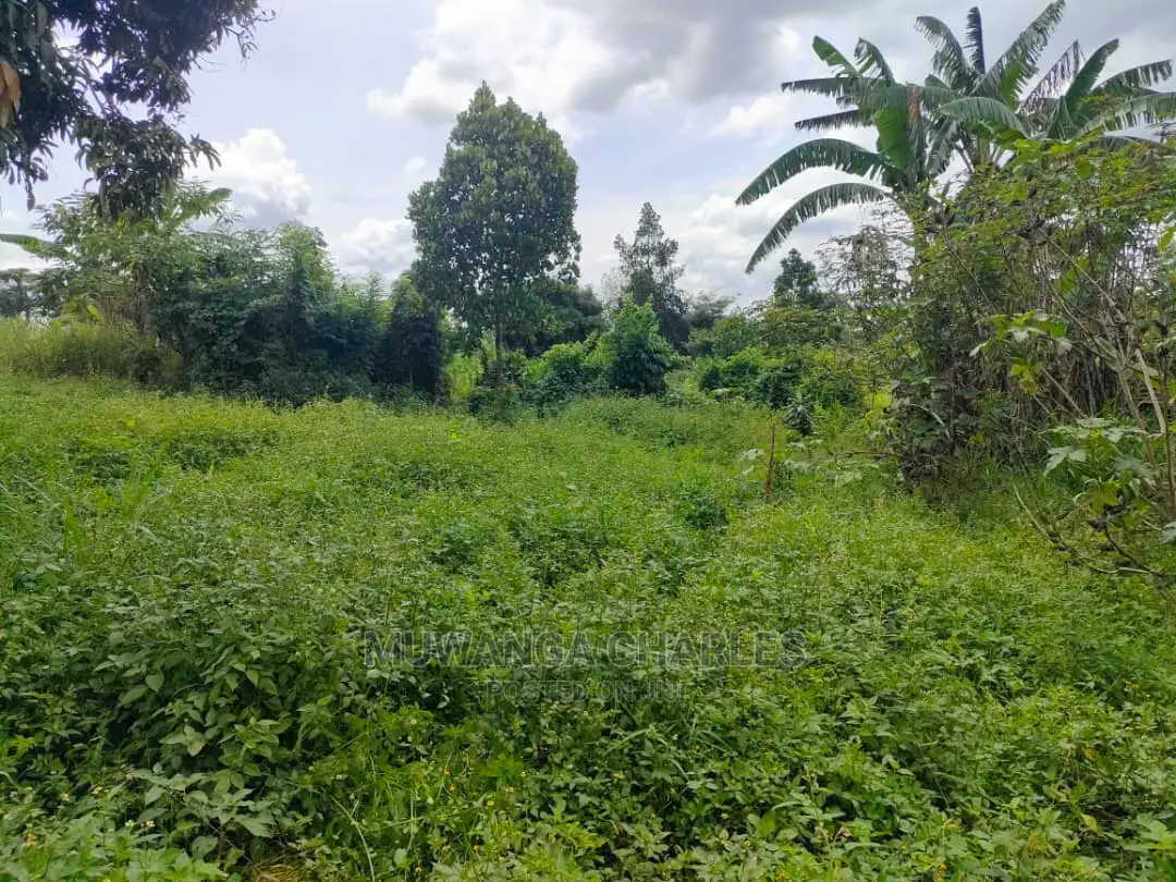 Land for Sale at Zirobwe