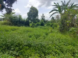 Land for Sale at Zirobwe
