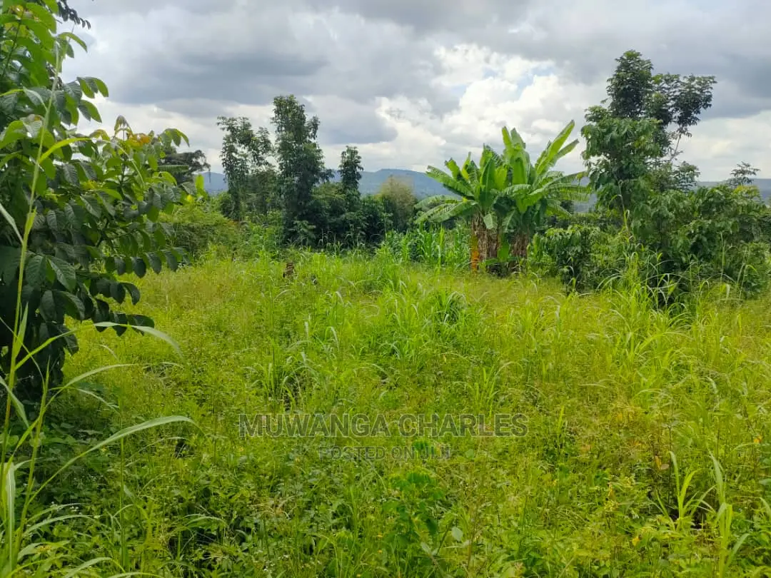 Land for Sale in Zirobwe Tongo