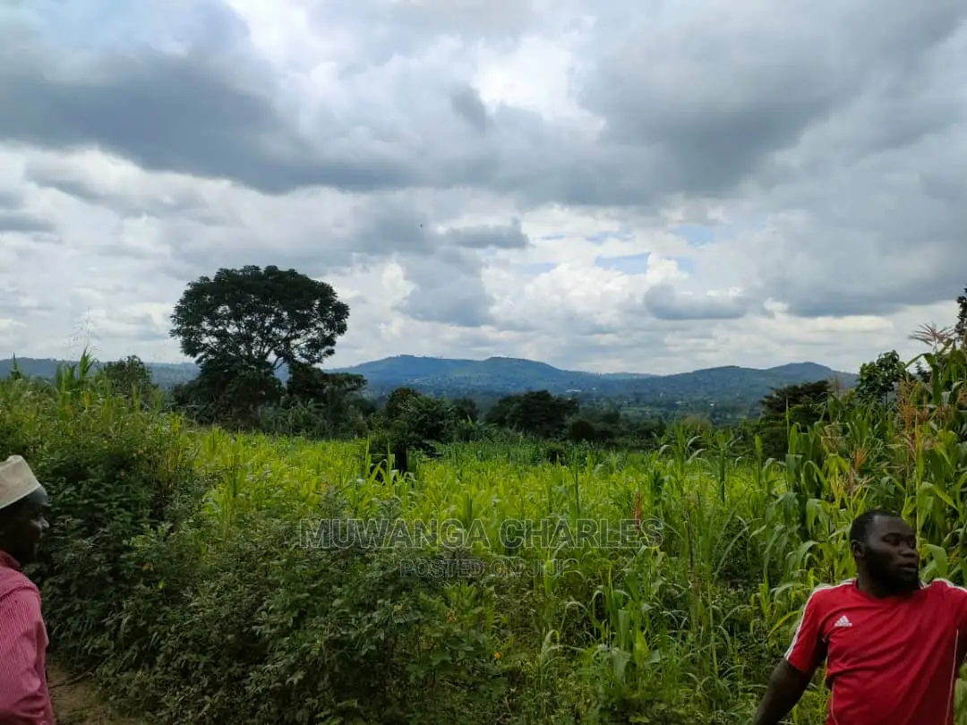 Land for Sale in Zirobwe Tongo
