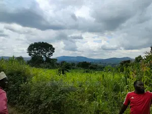 Land for Sale in Zirobwe Tongo