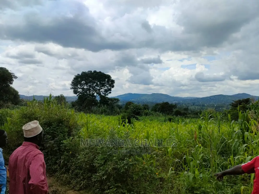 Land for Sale in Zirobwe Tongo