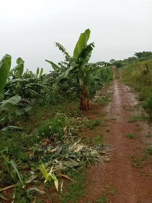 Land for Sale in Zirobwe Wabutungulu